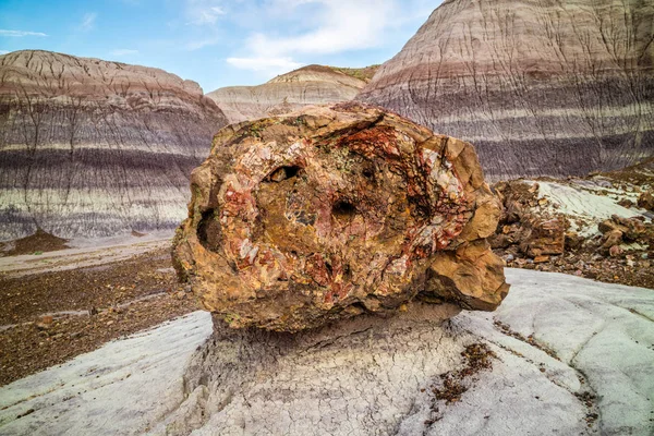 Pedras Petrificadas Petrified Forest National Park Arizona — Fotografia de Stock