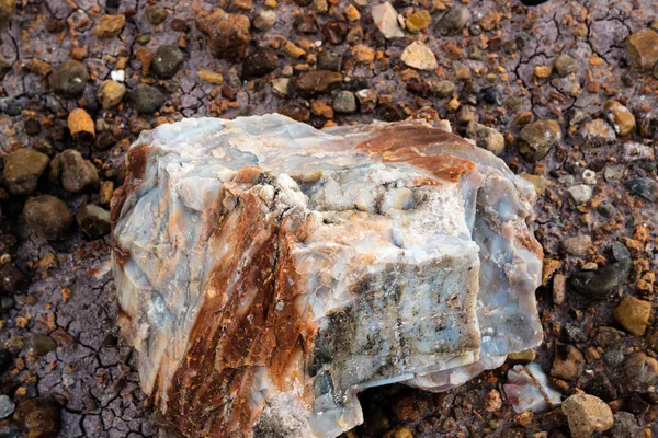 Cristal Cuarzo Parque Nacional Bosque Petrificado Arizona — Foto de Stock