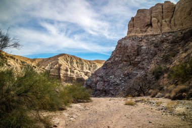 Merdiven zammı Palm Spring, Kaliforniya tepelerde Mekke