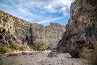 Merdiven zammı Palm Spring, Kaliforniya tepelerde Mekke