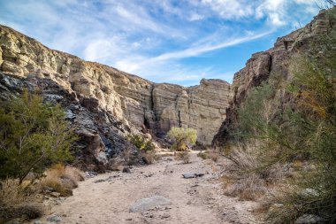 Merdiven zammı Palm Spring, Kaliforniya tepelerde Mekke
