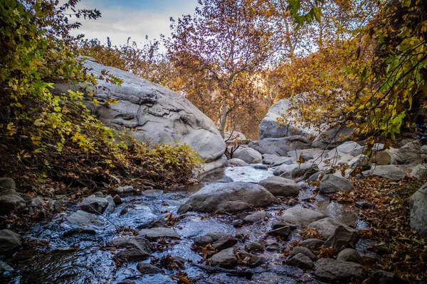 Tahquitz Φαράγγι Πεζοπορία Trail Στην Παλάμη Άνοιξη Καλιφόρνια — Φωτογραφία Αρχείου