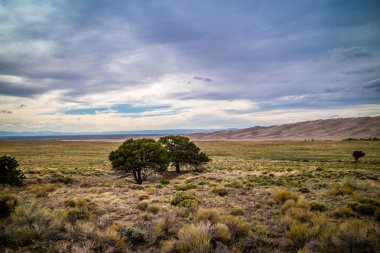 Kum tepeleri büyük kum tepeleri Milli Park ve koru, Colorado