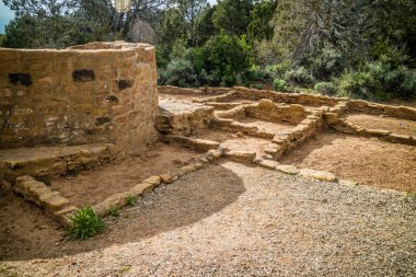 Mesa Verde Milli Parkı, Colorado sedir ağacı evde