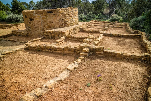 Cedar Tree House Parque Nacional Mesa Verde Colorado — Foto de Stock