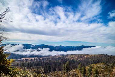 Glacier Point Yosemite Milli Parkı, California