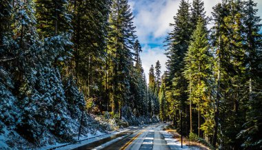 Yosemite Milli Parkı, California yolda uzun bir yol