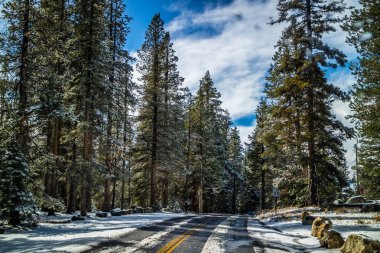 Yosemite Milli Parkı, California yolda uzun bir yol