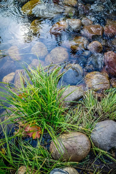 Lacul Oglindă Din Parcul Național Yosemite California — Fotografie, imagine de stoc