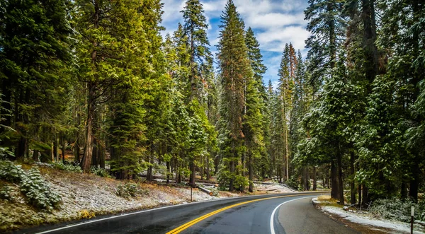 A long way down the road of Yosemite National Park, California
