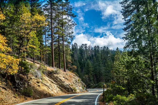 Long Chemin Sur Route Parc National Yosemite Californie — Photo