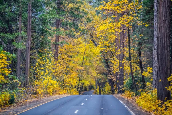 A long way down the road of Yosemite National Park, California