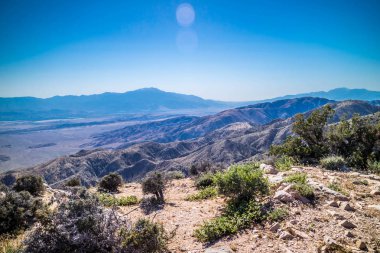 Joshua Tree National Park, Kaliforniya'da Ryan dağının doğal görünümü