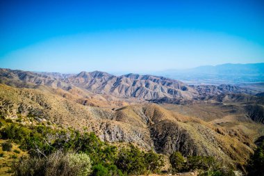 Joshua Tree National Park, Kaliforniya'da Ryan dağının doğal görünümü