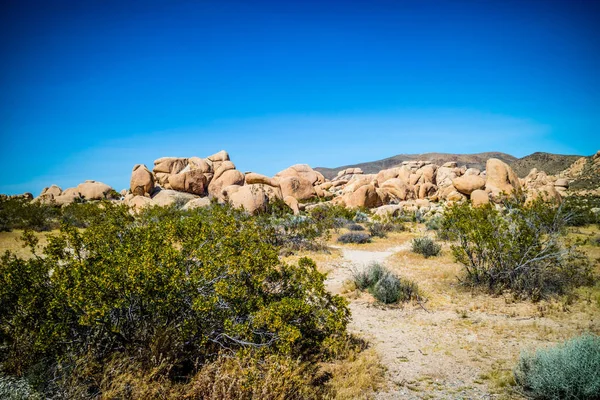 Balancing Woestijn Rotsen Joshua National Park Californië — Stockfoto
