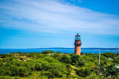 Cape Cod Martha'nın üzüm bağı, Massachusetts ünlü eşcinsel kafa ışığında