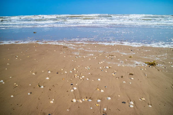 Пляж Множеством Морей Берегу Острове Саут Падре Техас — стоковое фото