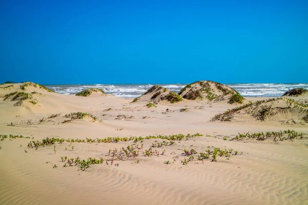 Красивый Мягкий Мелкий Песчаный Пляж Вдоль Побережья Залива Техаса Острове — стоковое фото