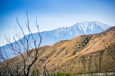 Palm Spring, Kaliforniya'da doğanın güzel bir bakan manzara
