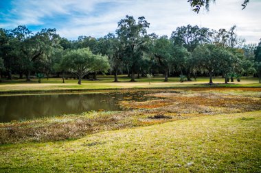 Avery Adası, Louisiana parkta doğal ve huzurlu bir görünümünü