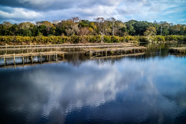 Scenic Peaceful View Park Avery Island Louisiana — Stock Photo, Image