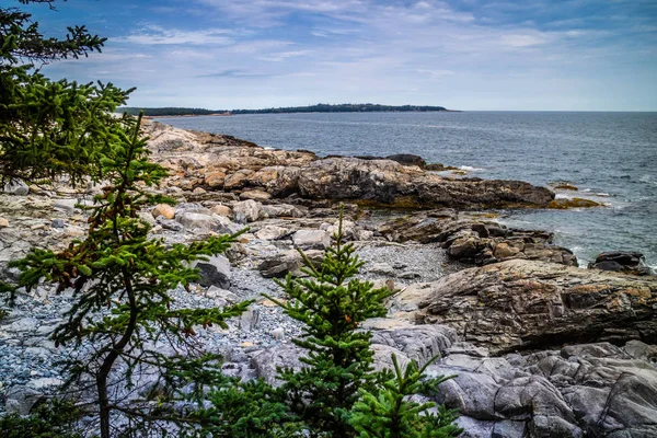 Krásný Kachna Harbor Isle Haut Národním Parku Acadia Maine — Stock fotografie