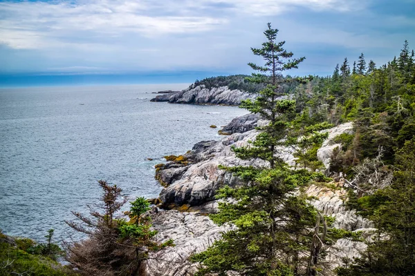 Encantador Duck Harbor Isle Haut Parque Nacional Acadia Maine — Foto de Stock