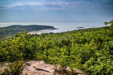 Kayın Cliff iz Acadia Milli Parkı, Maine