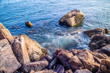 Arı kovanı Cliff iz Acadia Milli Parkı, Maine