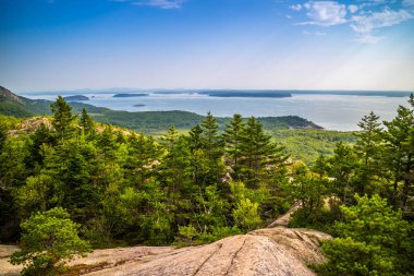 Arı kovanı Cliff iz Acadia Milli Parkı, Maine
