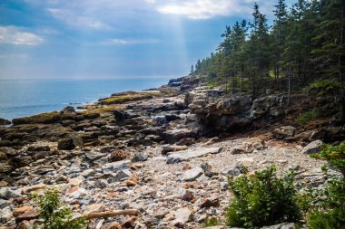 Büyük baş iz Acadia Milli Parkı, Maine