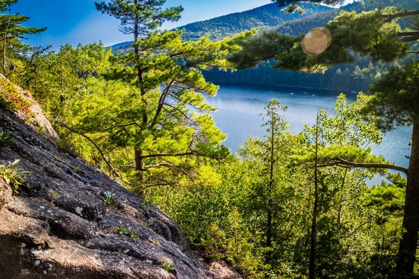 Kayın Cliff Acadia Milli Parkı Maine — Stok fotoğraf