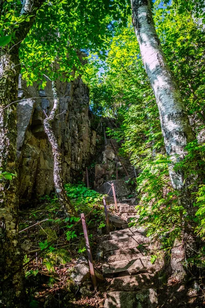 Buk Cliff Stezka Národním Parku Acadia Maine — Stock fotografie