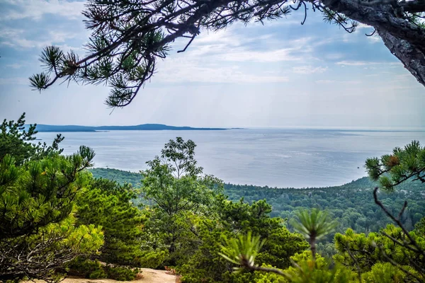 Sendero Del Acantilado Colmena Parque Nacional Acadia Maine — Foto de Stock