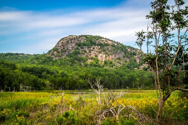 Vista Panoramica Del Paesaggio Mozzafiato Della Natura Nel Parco Nazionale — Foto Stock