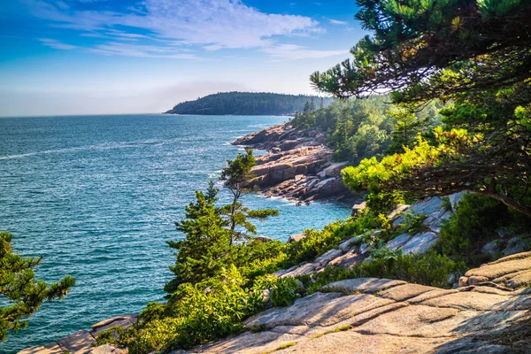 Trasa Ścieżki Ocean Acadia National Park Maine — Zdjęcie stockowe