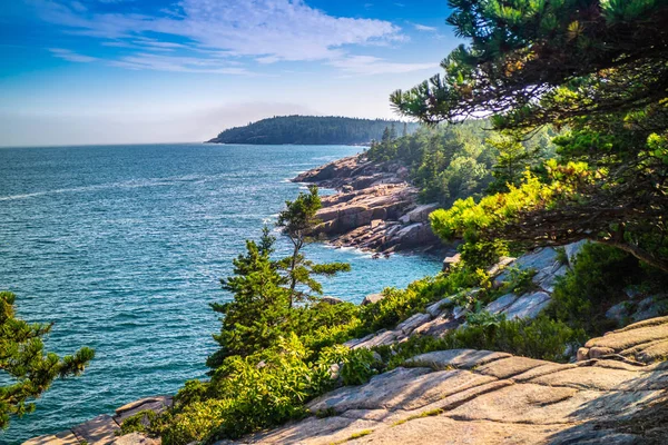 Sendero Del Océano Parque Nacional Acadia Maine —  Fotos de Stock