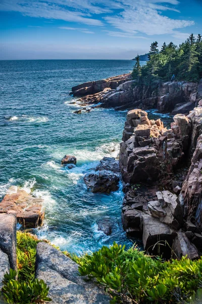 Trasa Ścieżki Ocean Acadia National Park Maine — Zdjęcie stockowe