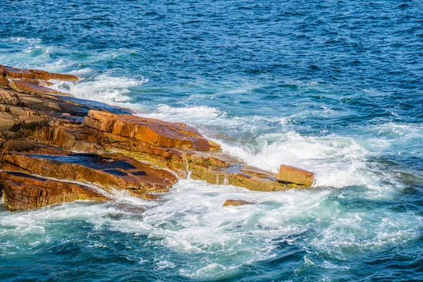 Trasa Ścieżki Ocean Acadia National Park Maine — Zdjęcie stockowe