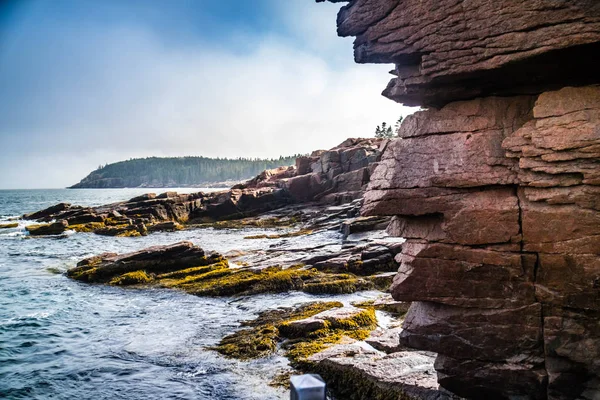 Ocean Sökvägen Leden Acadia National Park Maine — Stockfoto