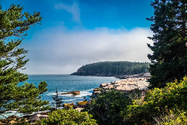 Okyanus Yol Acadia Milli Parkı Maine — Stok fotoğraf