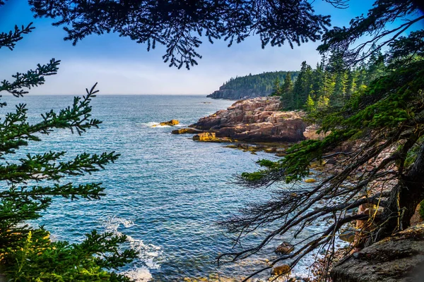 Oceánu Cestu Stezka Národním Parku Acadia Maine — Stock fotografie