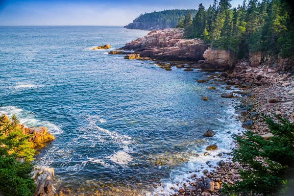 Ocean Sökvägen Leden Acadia National Park Maine — Gratis stockfoto