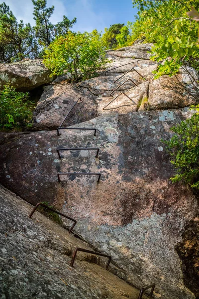 Sendero Las Precipitaciones Parque Nacional Acadia Maine —  Fotos de Stock