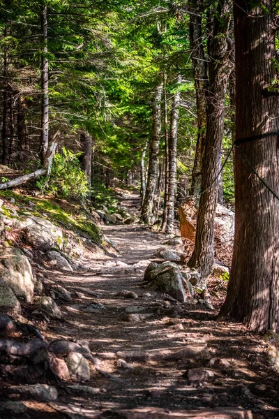 Uma Vista Deslumbrante Floresta Parque Nacional Acadia Maine — Fotografia de Stock