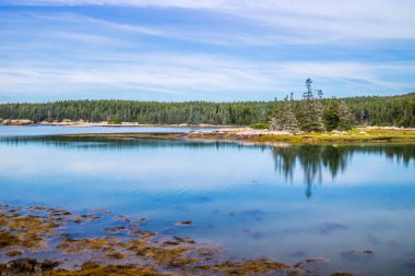 Küçük Mus Island'da Acadia Milli Parkı ay Schoodic Yarımadası