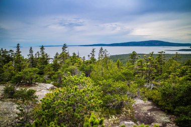 Schoodic baş noktası Acadia Milli Parkı, Maine