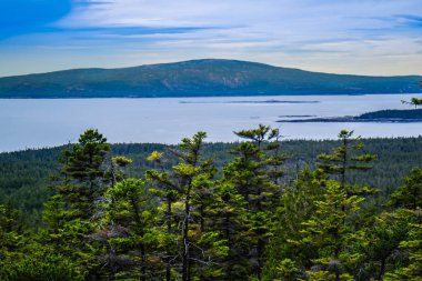 Schoodic baş noktası Acadia Milli Parkı, Maine