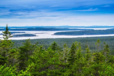 Schoodic baş noktası Acadia Milli Parkı, Maine