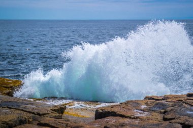 Schoodic Yarımadası, kaba denizler sırasında zor inişli çıkışlı vurma sörf